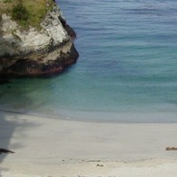 China Cove - Point Lobos