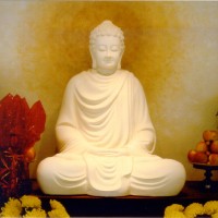 Guided Meditation Practices