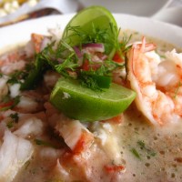Temping Food from the Galapagos