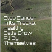 Stop Cancer In Its Tracks