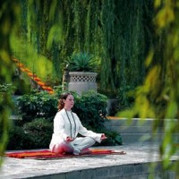The secular meditation courses