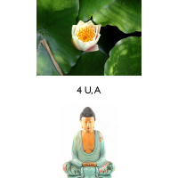 alotus4uabuddha2b