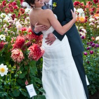 Wedding Dream