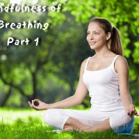 Mindfulness Meditation - Part 1