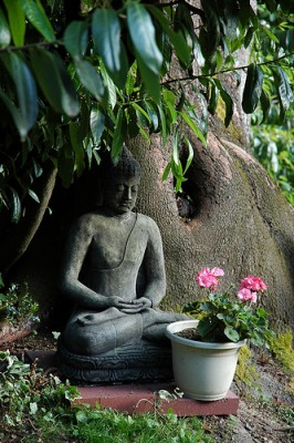 Buddha in the Garden