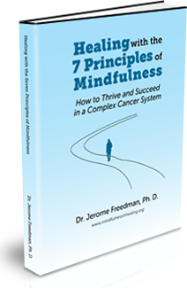 Healing with the Seven Principles of Mindfulness