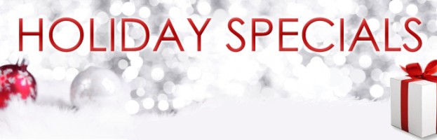 HolidaySpecialsCategoryBanner1-copy-623x200