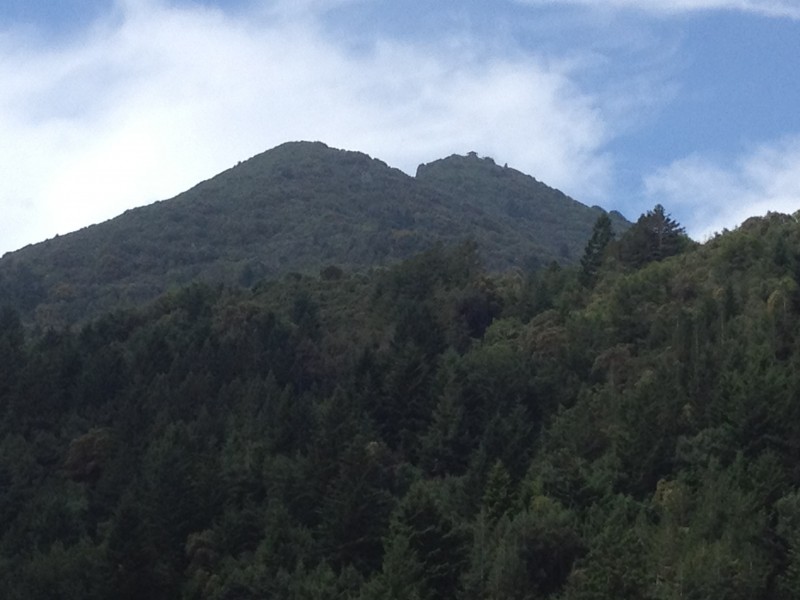 Mt. Tam