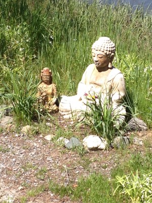Buddha on the Path