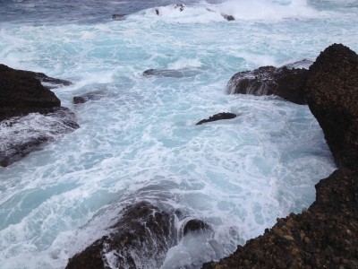 Point Lobos - Seal Rock