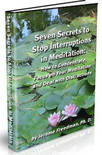 Seven Secrets to Stop Interruptions in Meditation: How to Concentrate and Focus on Your Meditation and Deal with Distractions