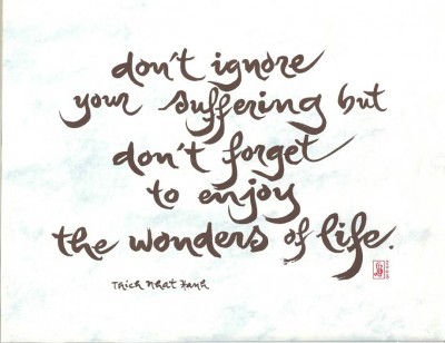 Don't Ignoer Your Suffering But Don't Forget to Enjoy The Wonders of Life
