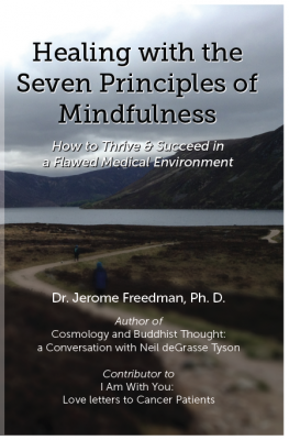 Healing with the Seven Principles of Mindfulness