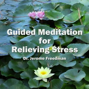 Guided Meditation for Relieving Stress 