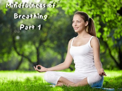 Mindfulness Meditation - Part 1