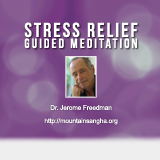 Stress Relief Guided Meditation