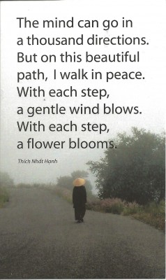 Walk in Peace